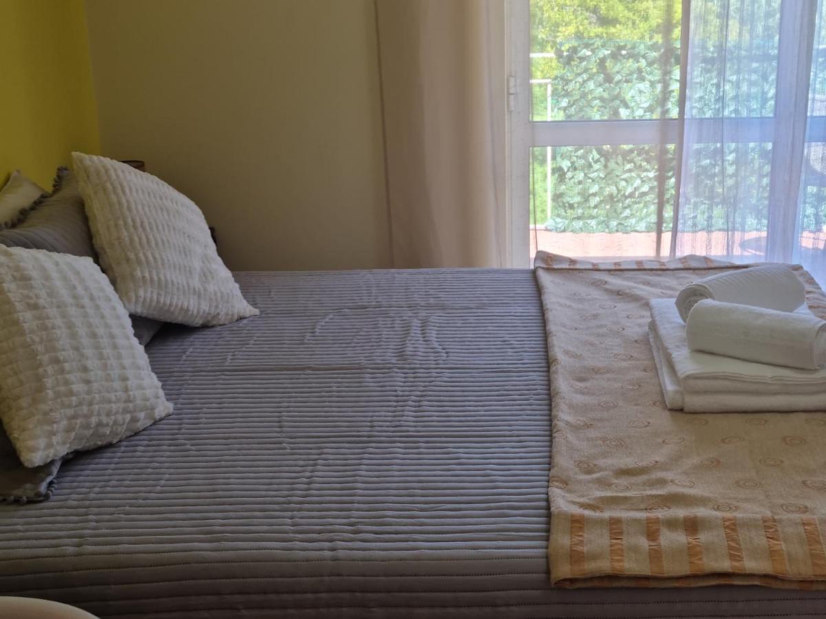 코임브라 Casa Anjos 아파트 외부 사진